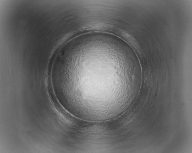 X0000071940578200607141435