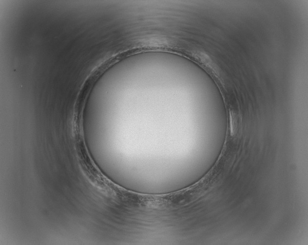 X0000071940579200607141435
