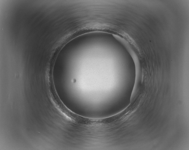 X0000071940581200607141435