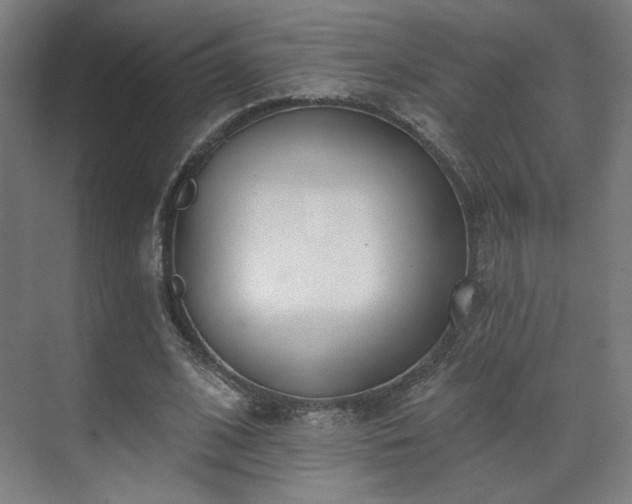 X0000071940584200607141435