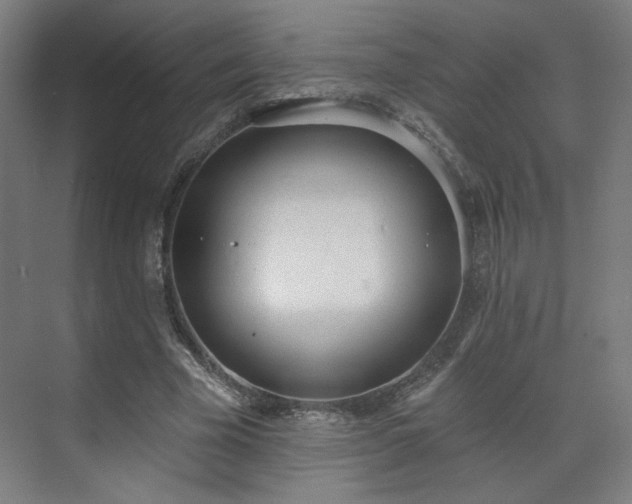 X0000071940585200607141435