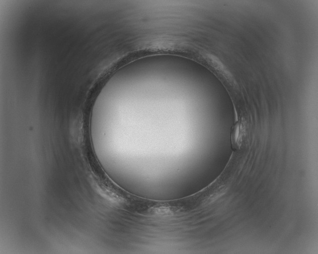 X0000071940588200607141435