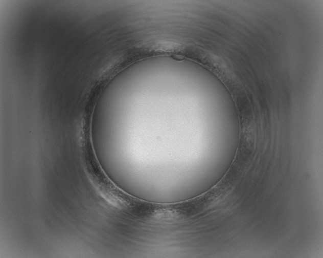 X0000071940591200607141435