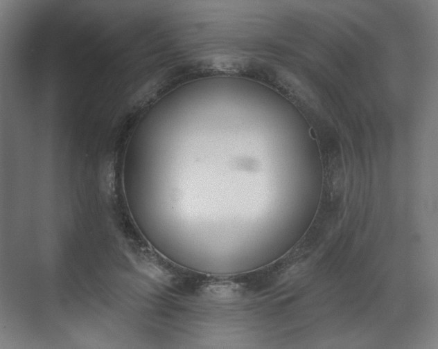 X0000071940595200607141435