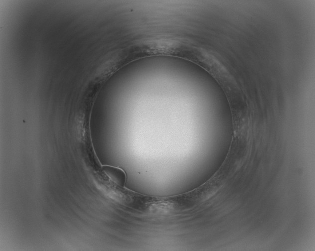 X0000071940599200607141435
