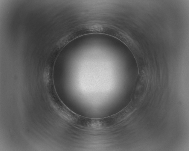 X0000071940600200607141435
