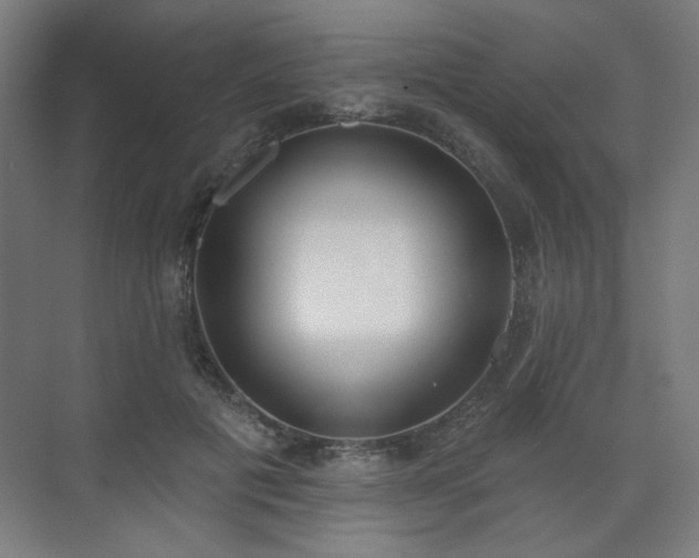 X0000071940601200607141435