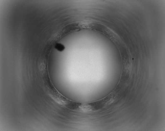 X0000071940603200607141435