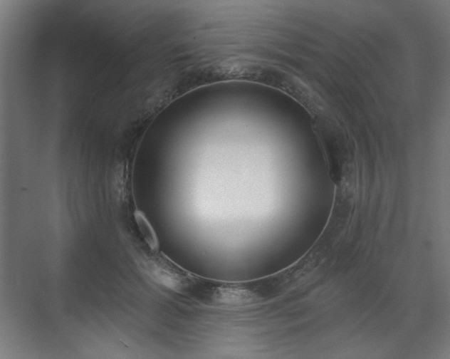 X0000071940605200607141435