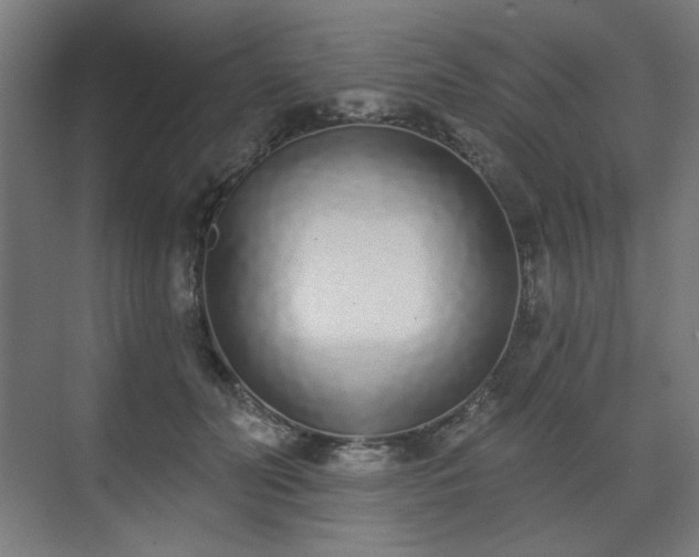 X0000071940606200607141435