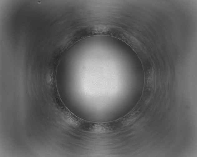 X0000071940608200607141435