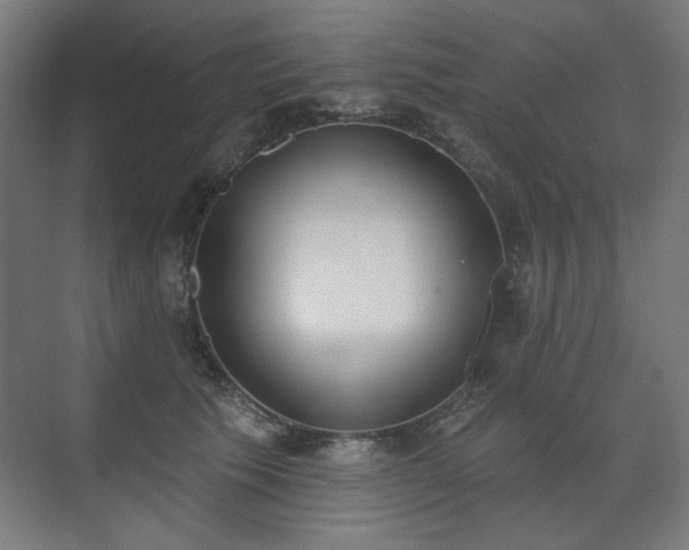 X0000071940609200607141435