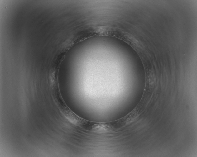X0000071940611200607141435