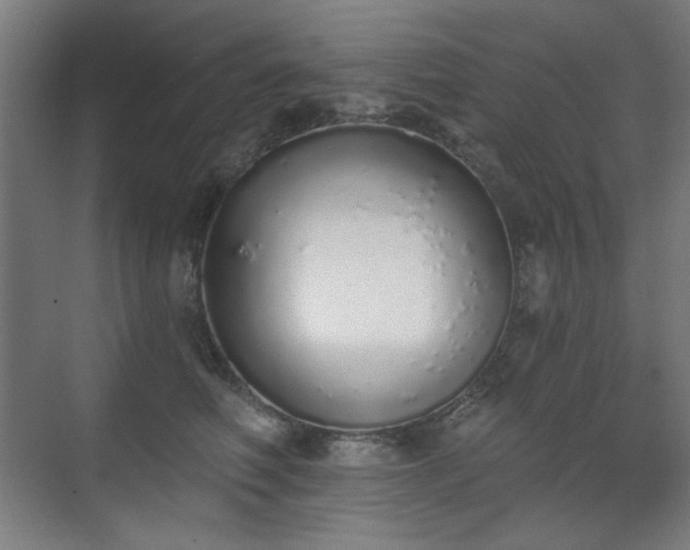 X0000071940614200607141435