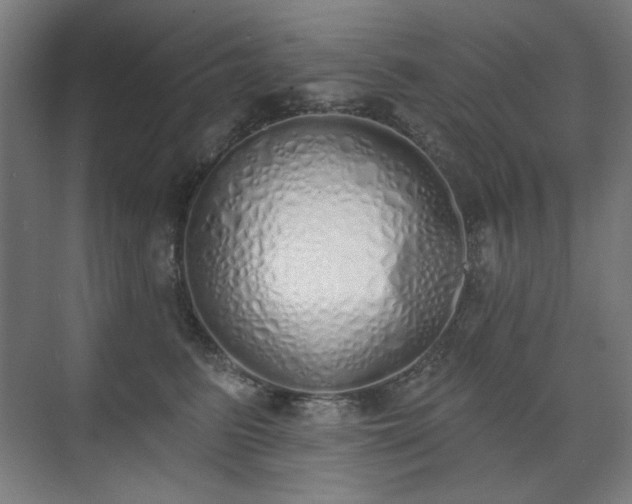 X0000071940615200607141435