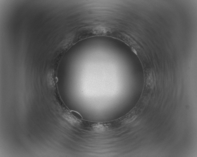 X0000071940616200607141435
