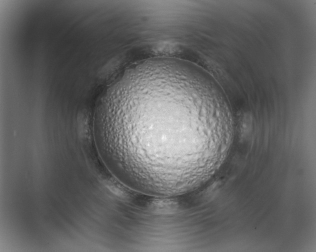 X0000071940619200607141435