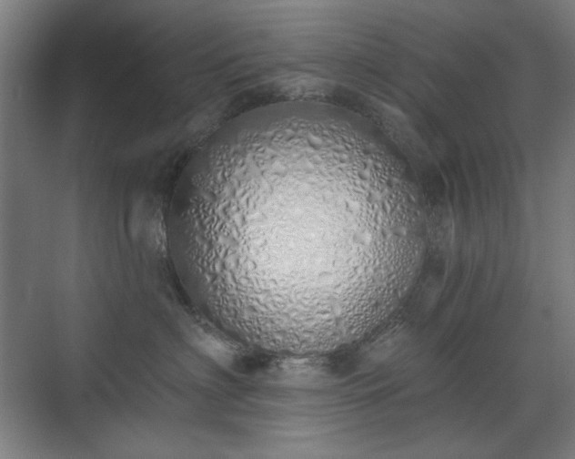 X0000071940622200607141434