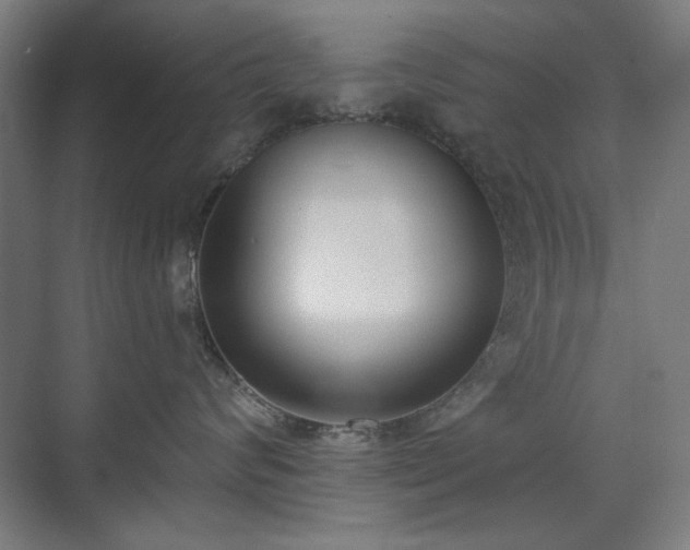 X0000071940624200607141434