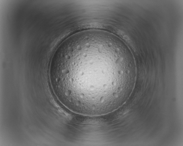 X0000071940625200607141434