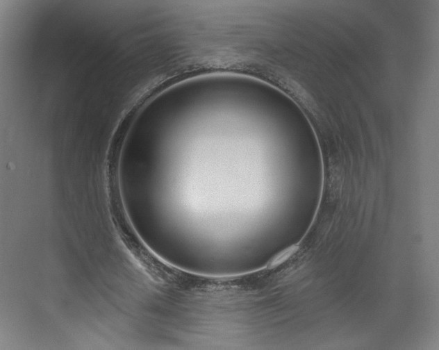 X0000071940626200607141434