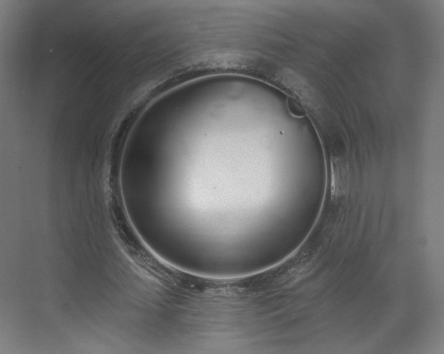 X0000071940627200607141434