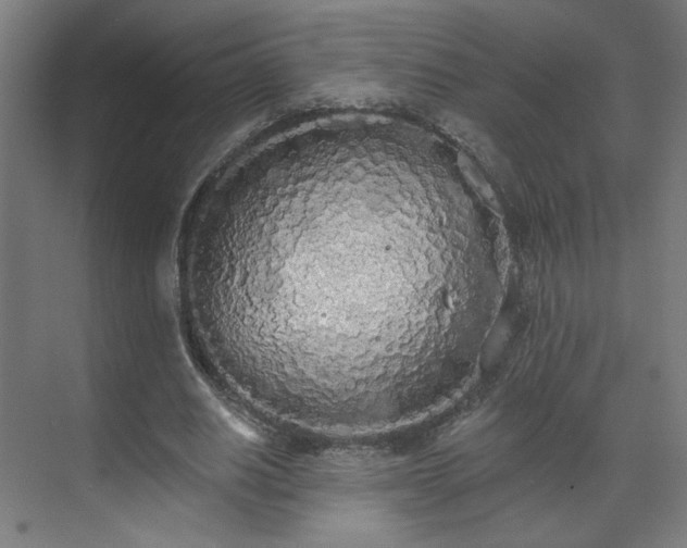 X0000071940630200607141434