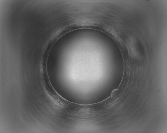 X0000071940631200607141434
