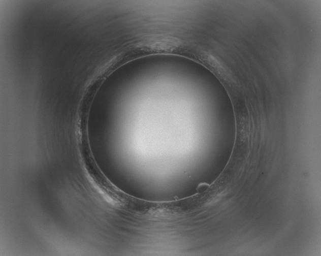 X0000071940634200607141434
