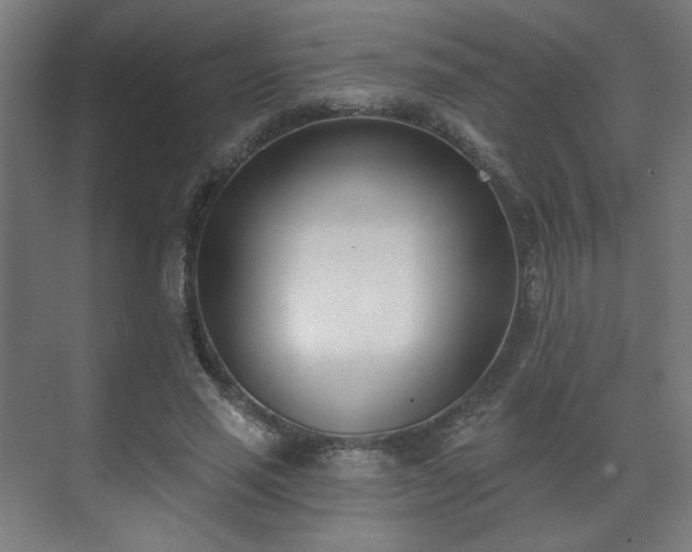 X0000071940637200607141434