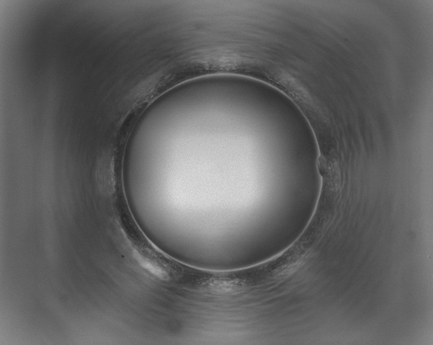 X0000071940638200607141434