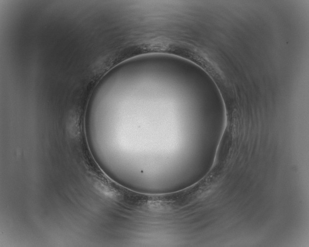 X0000071940641200607141434