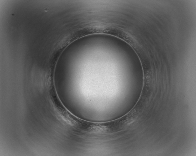 X0000071940642200607141434