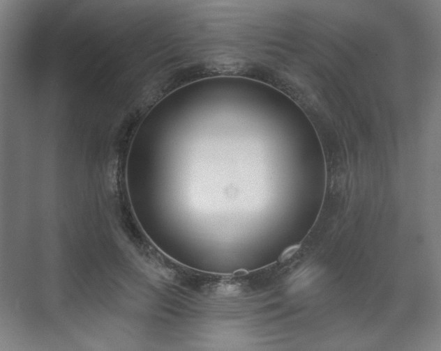 X0000071940647200607141434