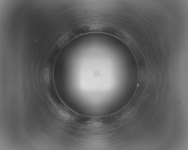 X0000071940648200607141434