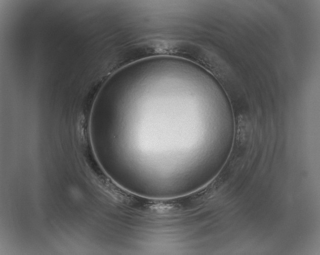 X0000071940650200607141434