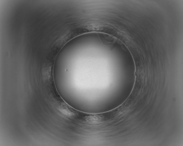 X0000071940652200607141434