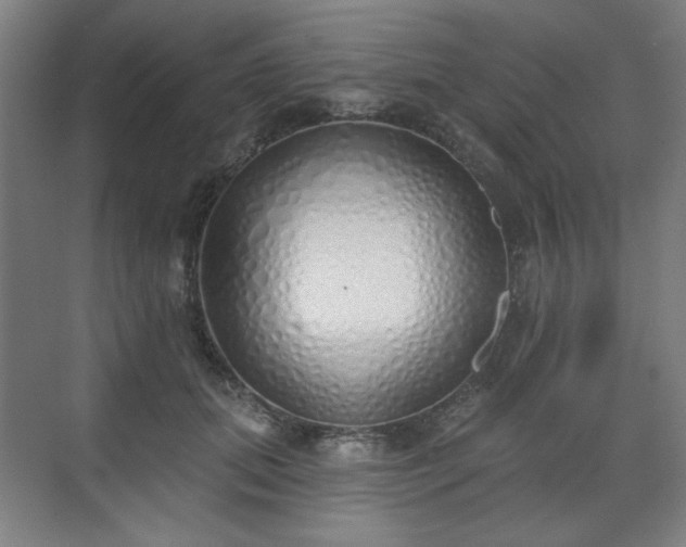 X0000071940655200607141434
