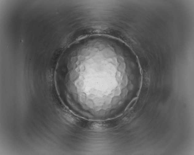 X0000071940657200607141434