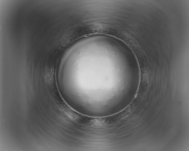 X0000071940660200607141434