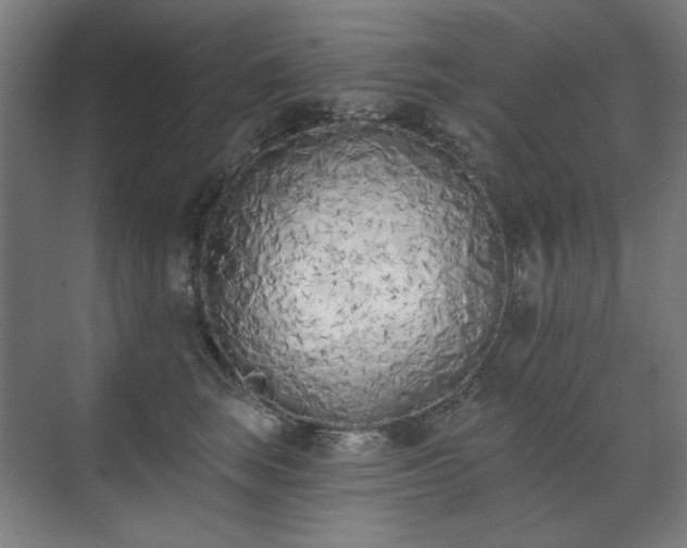 X0000071940663200607141434