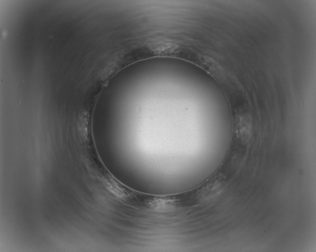 X0000071940664200607141434