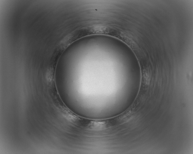 X0000071940665200607141434