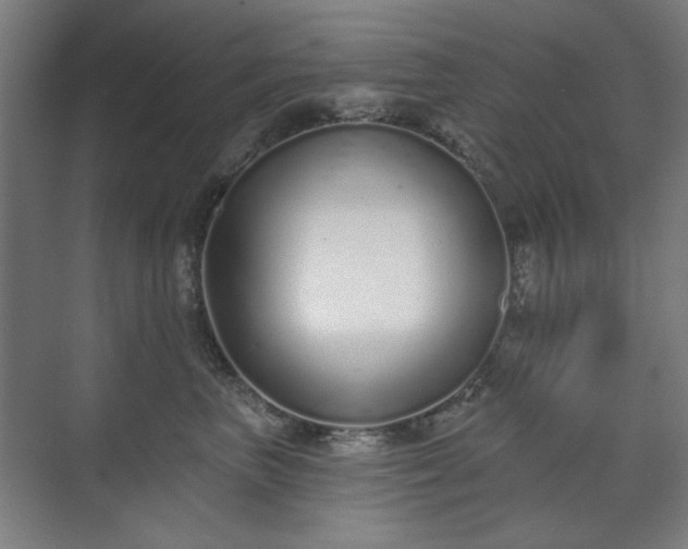 X0000071940667200607141434