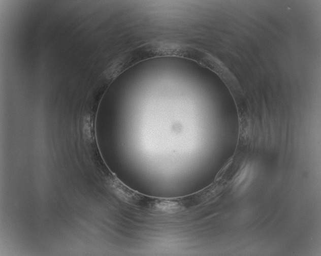 X0000071940669200607141434
