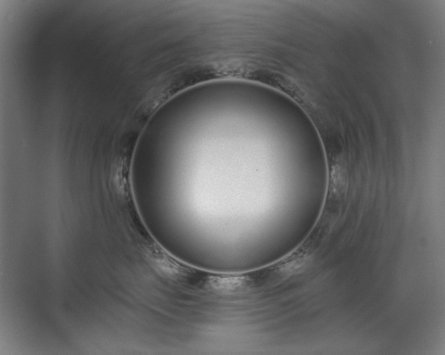 X0000071940671200607141434