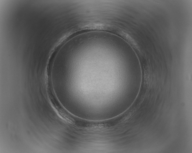 X0000071940674200607141434