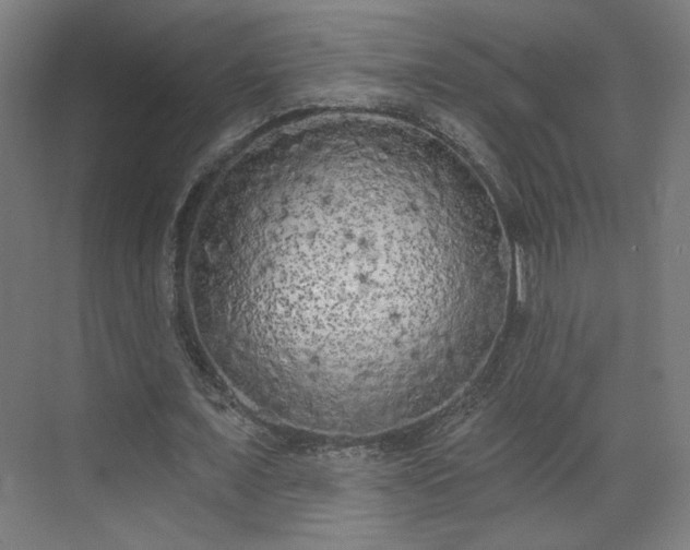 X0000071940675200607141434