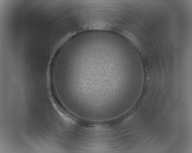 X0000071940678200607141434