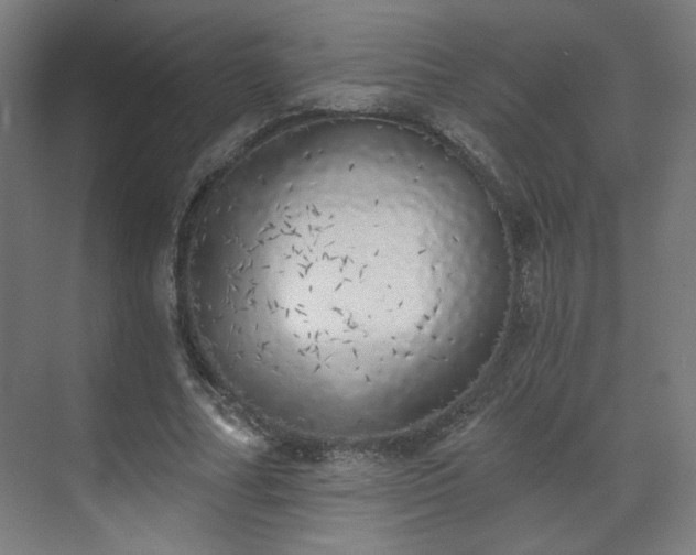 X0000071940682200607141433